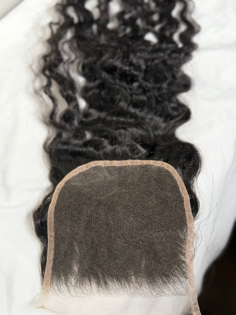 Burmese Curly