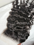 Burmese Curly