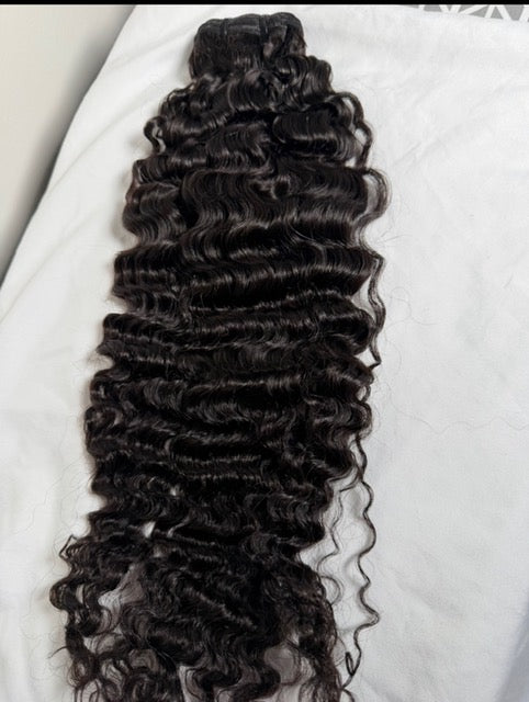 Burmese curly