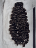 Burmese curly