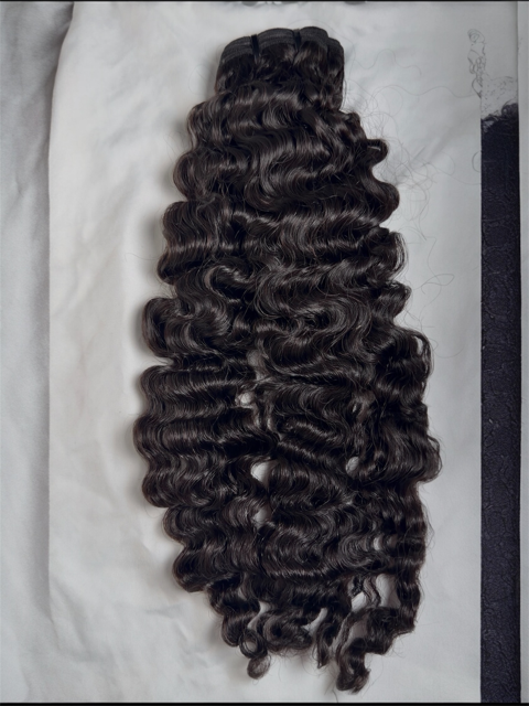 Burmese curly
