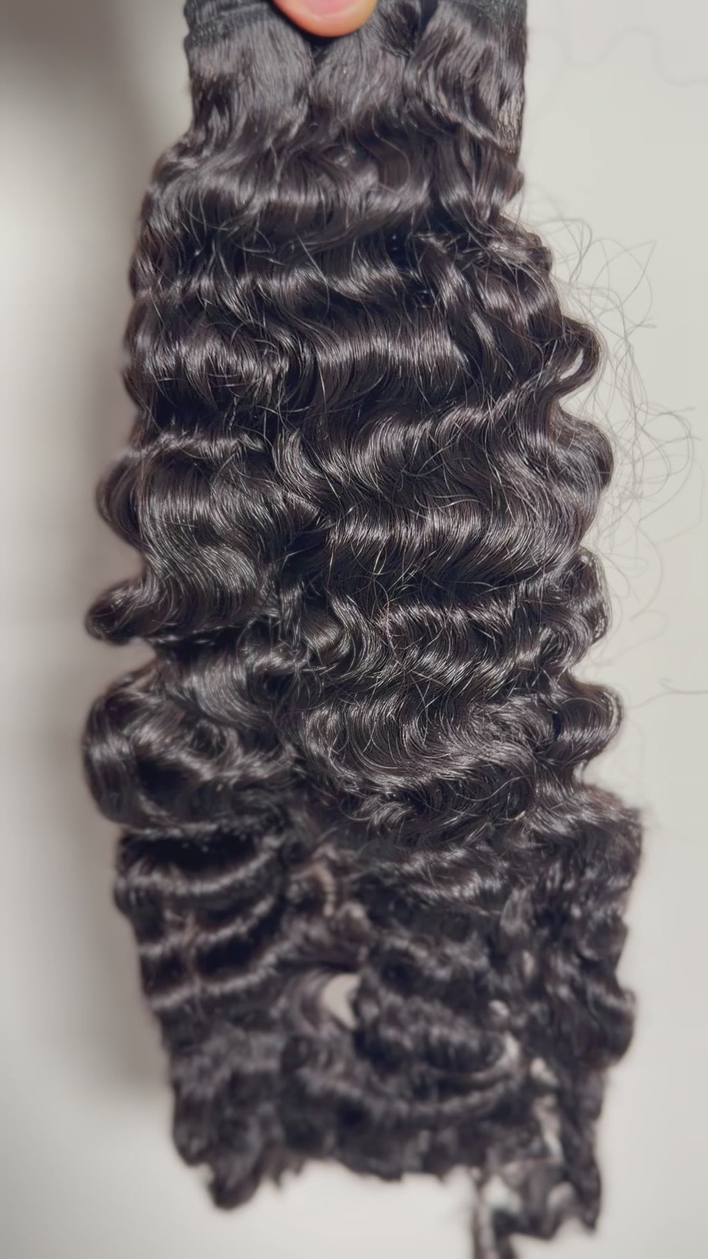 Burmese curly