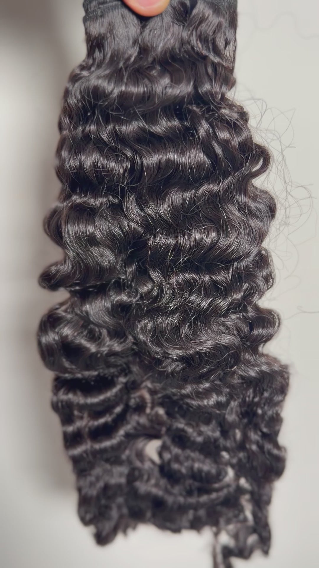 Burmese curly