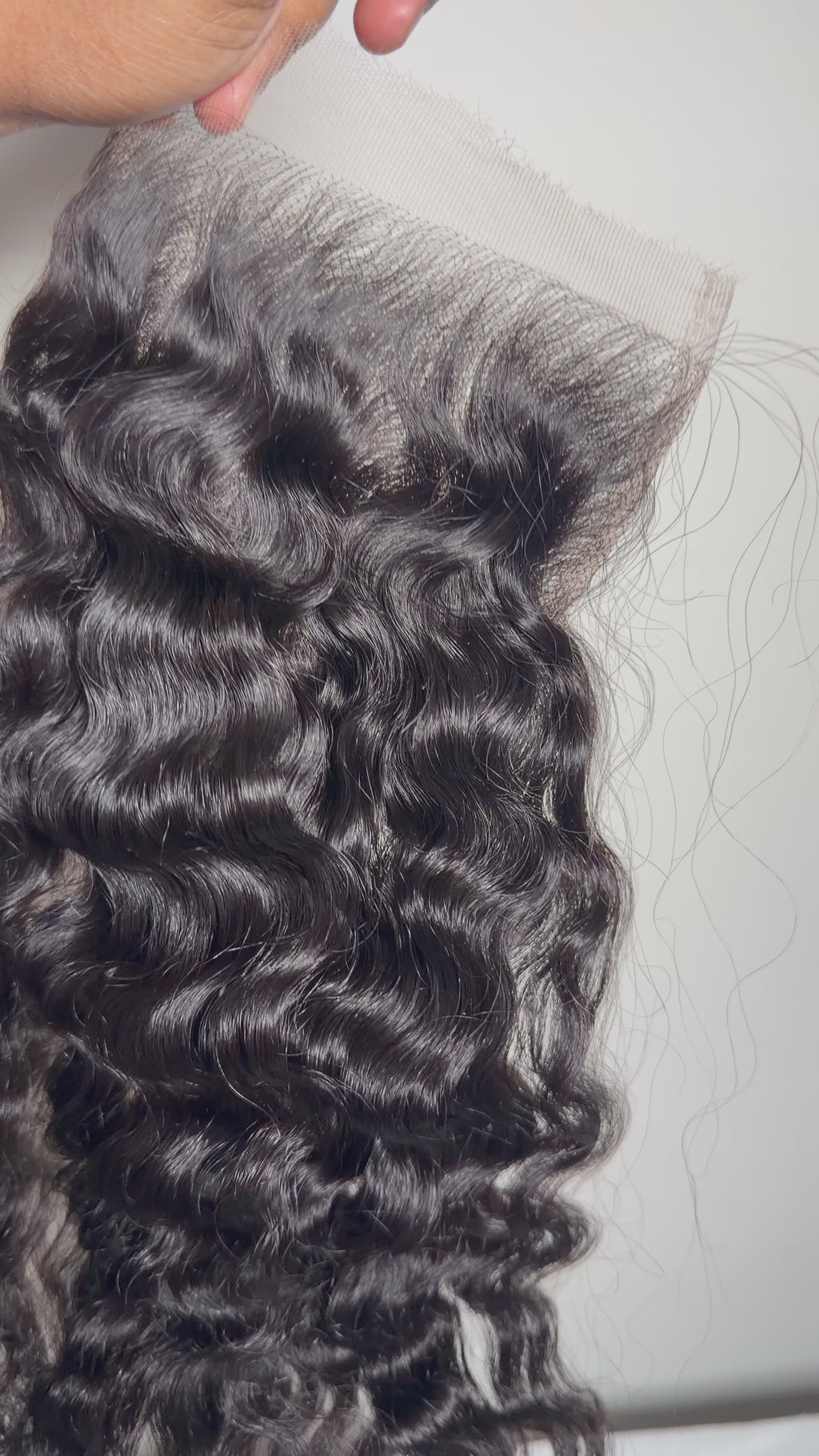 Burmese Curly